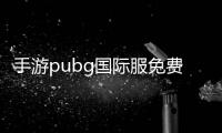 手游pubg国际服免费挂-PUBG国际服免费外挂危害大，根源在哪？该如何应对？